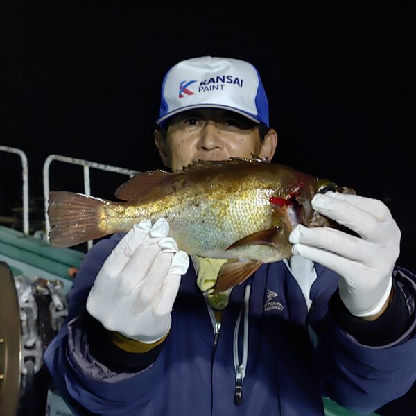 釣り船幸盛丸　釣果　2026  3/29「日」Part2