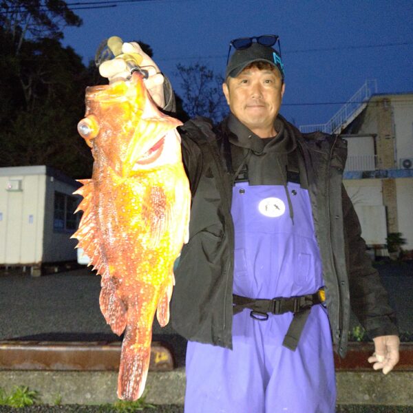 釣り船幸盛丸　釣果　2026  4/12「日」