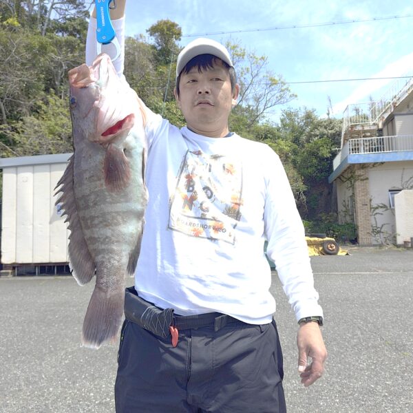 釣り船幸盛丸　釣果　2026  4/14「火」