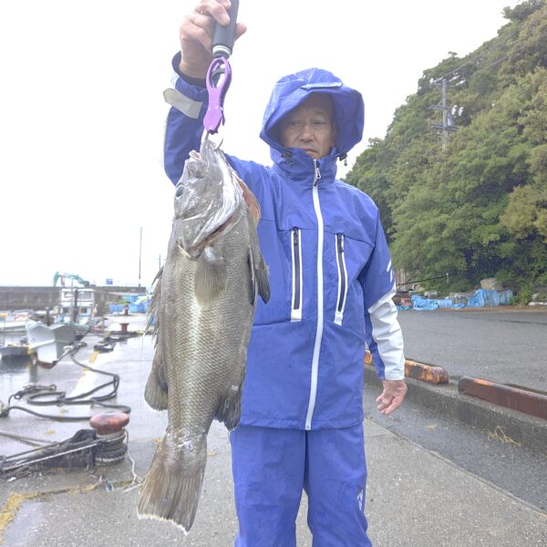 釣り船幸盛丸　釣果　2026  4/30「木」