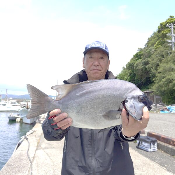 釣り船幸盛丸　釣果　2026  6/06「土」