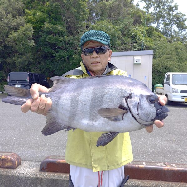 釣り船幸盛丸　釣果　2026  6/13「土」