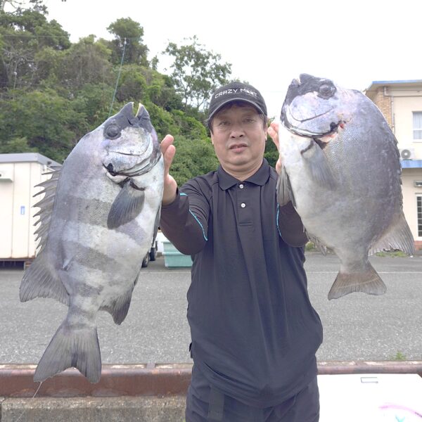 釣り船幸盛丸　釣果　2026  6/14「日」