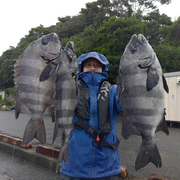 釣り船幸盛丸　釣果　2026  6/20「土」Part 2