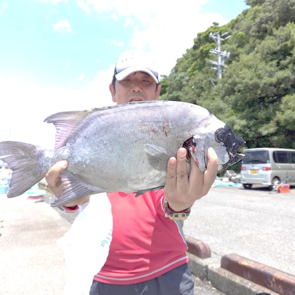 釣り船幸盛丸　釣果　2026  6/21「日」