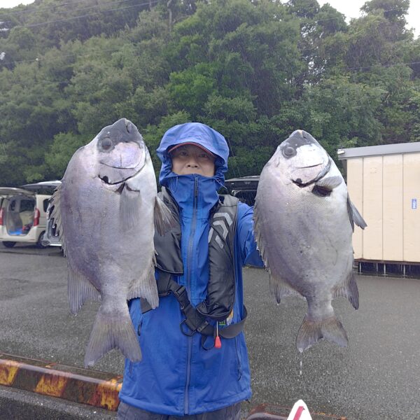 釣り船幸盛丸　釣果　2026  6/28「日」