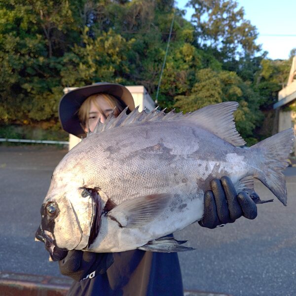 釣り船幸盛丸　釣果　2026  7/20「月」