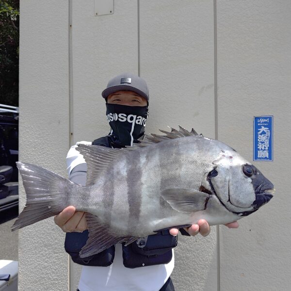 釣り船幸盛丸　釣果　2026  7/29「水」